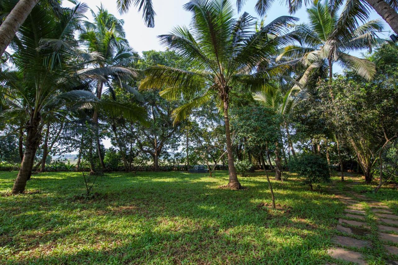 Rosastays South Goa Cavelossim Zewnętrze zdjęcie